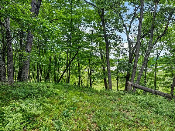 3rd image of 0 Loon Lake Road