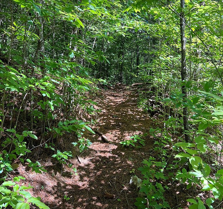 2nd image of Old Highway 5s