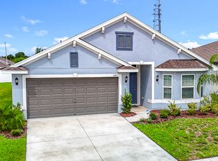 14917 Tropical Violet Way, Wimauma, FL 33598