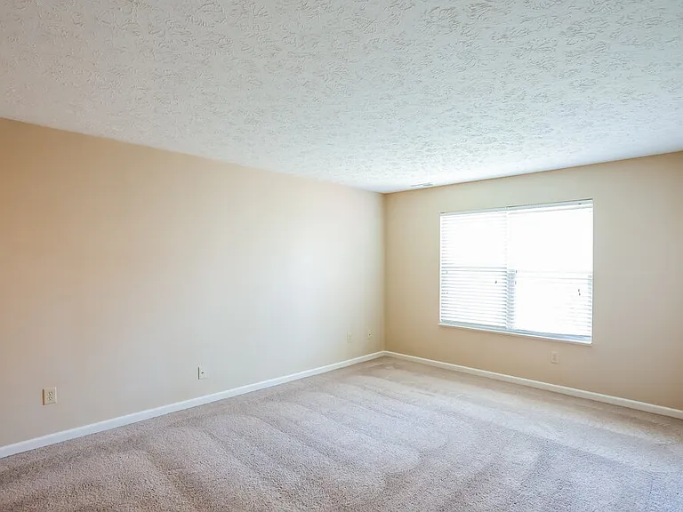 2962 Limber Pine Dr — Photo 8
