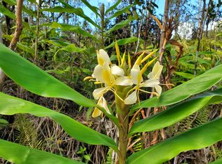 Road 7 Opeapea LOT 4601, Mountain View, HI 96771