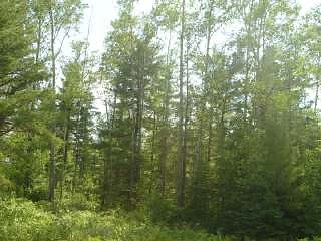 2nd image of On Woodduck Dr
