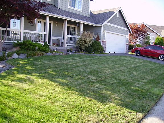 Beautiful Front Yard!