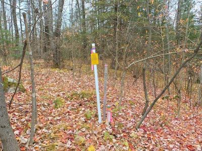 000 FISCHER CREEK ROAD, Westboro, WI, 54490