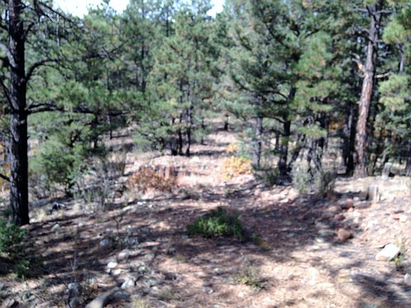 5th image of 21.6 Vacant Land Cr 21 6