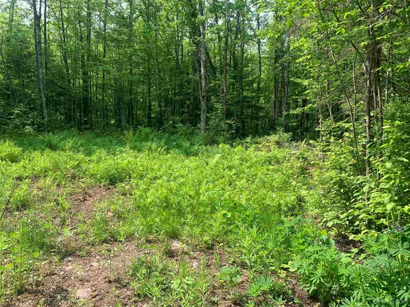 Hoop N Holler Rd, Bergland, MI 49910