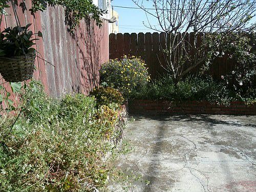 3rd image of 97 Citrus Ave #C