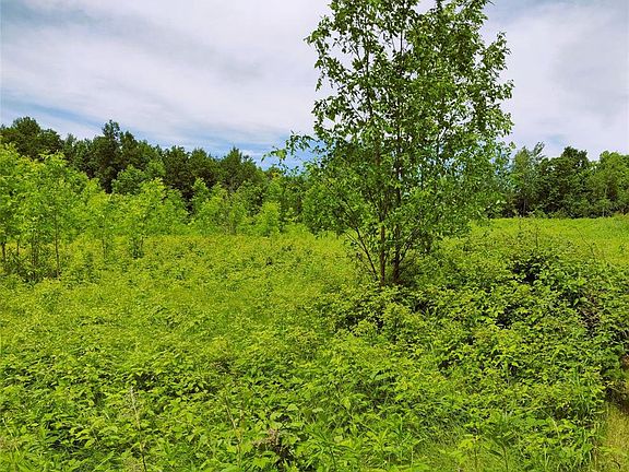3rd image of 1.35 Acres on Isabella Lane