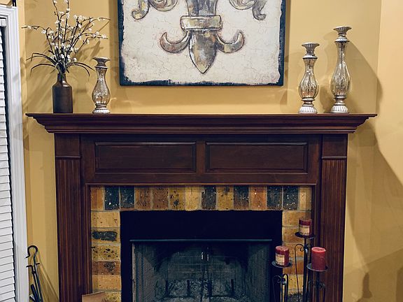Wood burning fireplace
