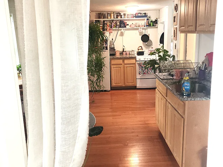 3-7 Winthrop Shore Dr #3 — Photo 16