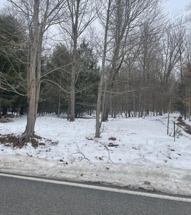 2nd image of LOT On