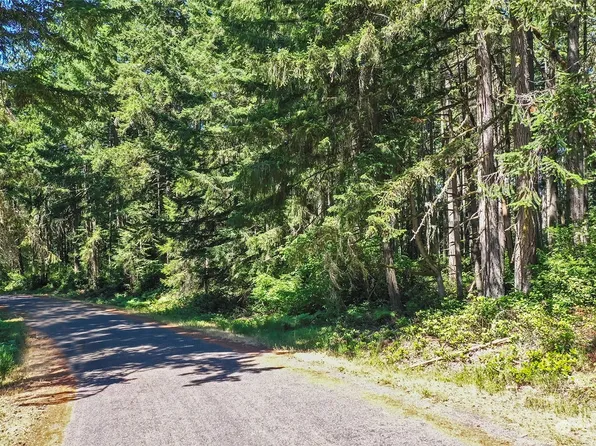 11004 Spruce Drive, Anderson Island, WA 98303
