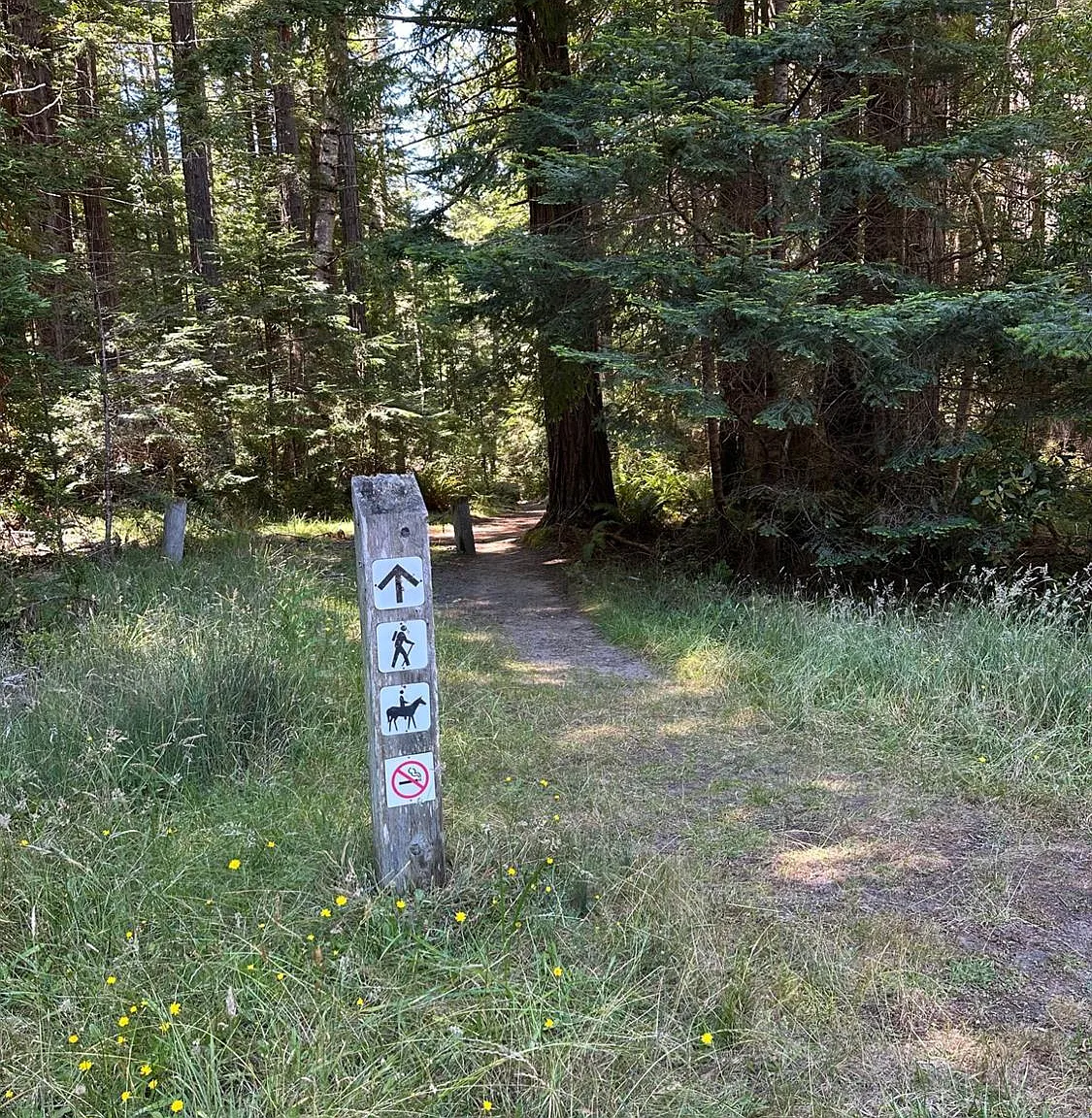 10181 Sorcerer Wood - Photo 6