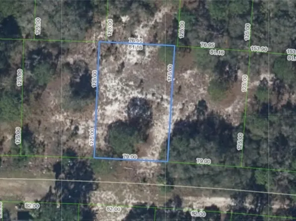 318 Glenbrier Ave, Lake Placid, FL 33852