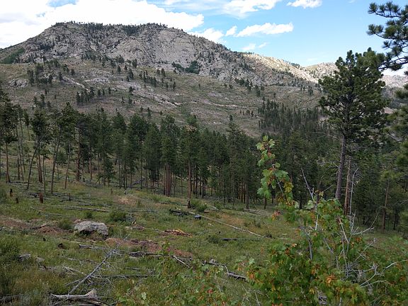 2nd image of 2862 Storm Mountain Dr