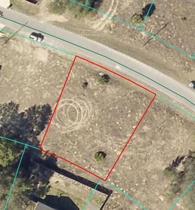 Malauka Radl Lot 29, Ocklawaha, FL, 32179