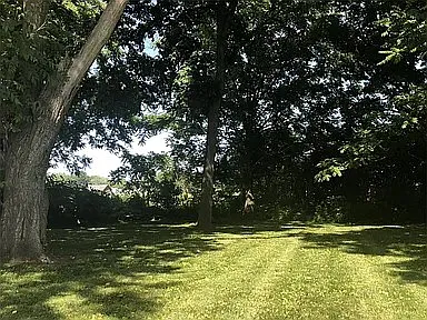 4 bed, 2500 sqft, $2,995 — Photo 2