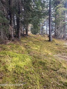65655 Ring Of Fire Ave, Anchor Pt, AK, 99556
