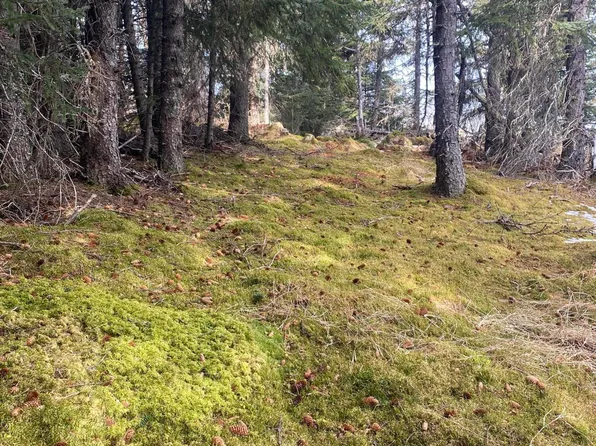 65655 Ring Of Fire Ave, Anchor Pt, AK 99556