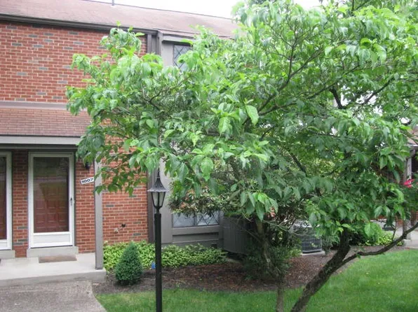 1007 Sewickley Heights Dr, Sewickley, PA 15143