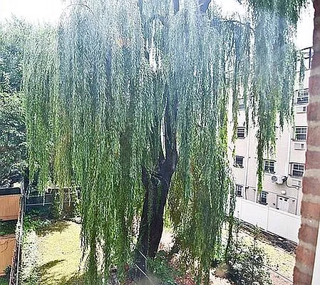 Rented by Bohemia Realty Group | media 10