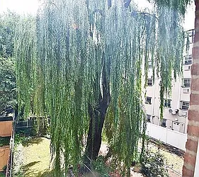 Rented by Bohemia Realty Group