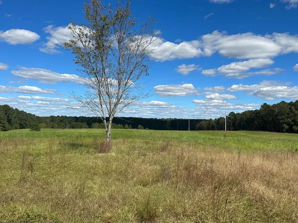 0 Highway 39, Chappells, SC 29037