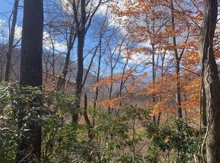 0 Little Mountain Rd #25 & 26, Maggie Valley, NC 28751