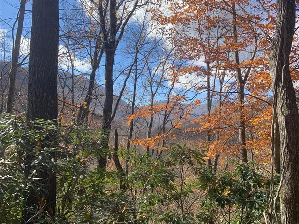 0 Little Mountain Rd #25 & 26, Maggie Valley, NC 28751