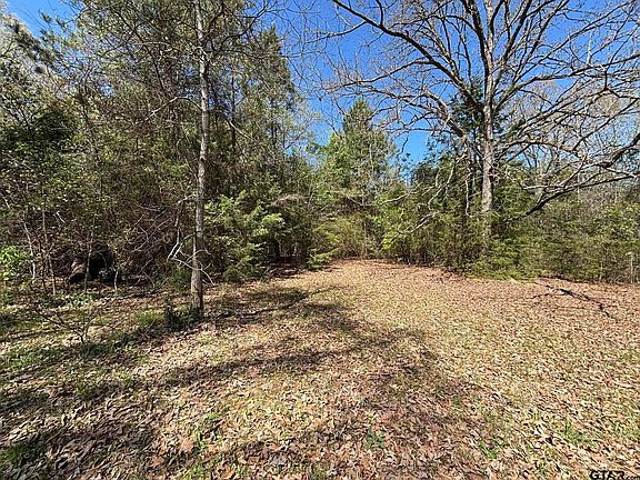 4th image of 0 County Road 341