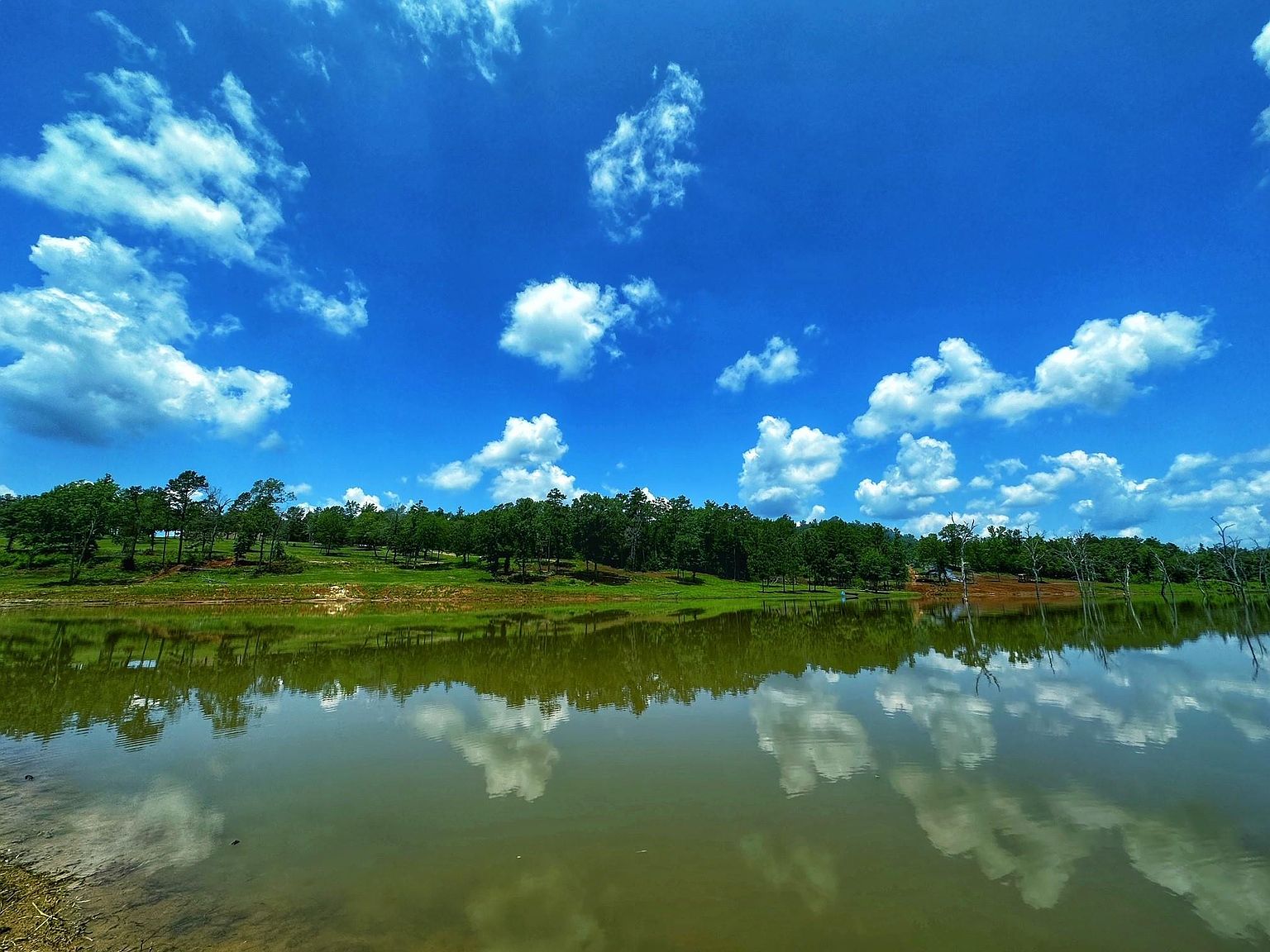 10024 County Road 207, Oakwood, TX 75855 | MLS #85862966 | Zillow