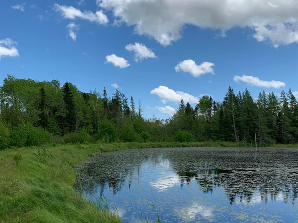 LOT CL1 Palmer Rd, Cumberland, NS B0M 1Z0