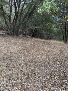 2334 Parmabelle Rd, Mariposa, CA, 95338