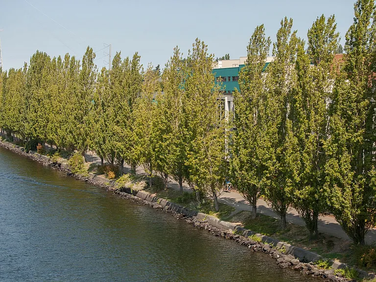 Fremont View: Modern Classic Collection — Photo 97
