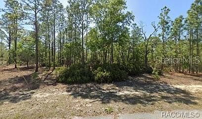 1st image of 10584 N INEZ TERRACE LOT 11