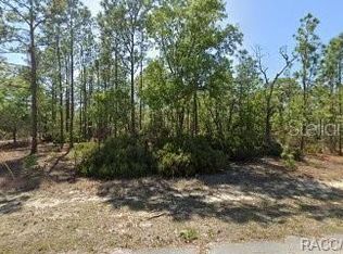 10584 N INEZ TERRACE LOT 11, CITRUS SPRINGS, FL 34433