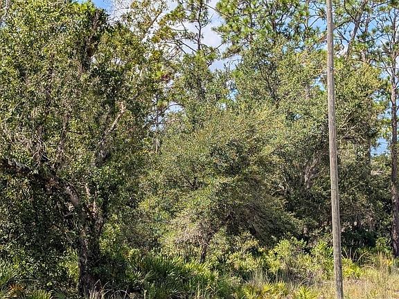 4th image of 1113 TROPICANA DRIVE LOT 16