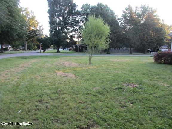 5th image of 9113 Thompson Ln