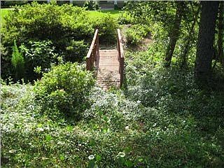 3rd image of 557 Northcreek Cir