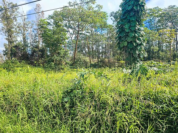 4th image of Ainaloa Dr Lot 19