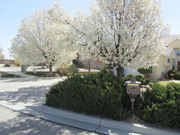 5th image of 1521 Avenida Las Brisas NW