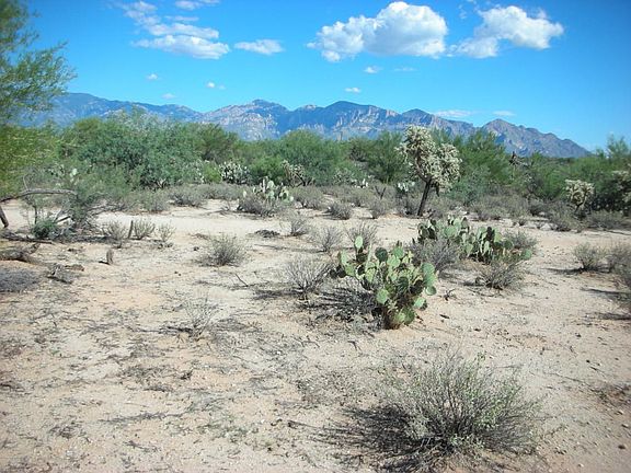 5th image of 13188 N Lost Wells Trl