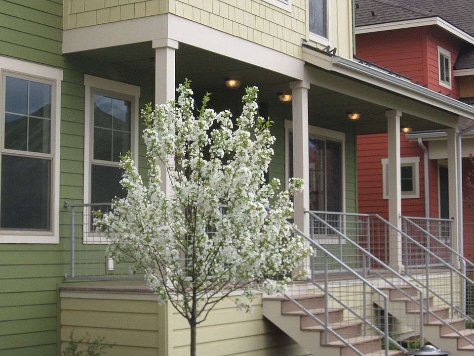 2nd image of 915 Heartland Way