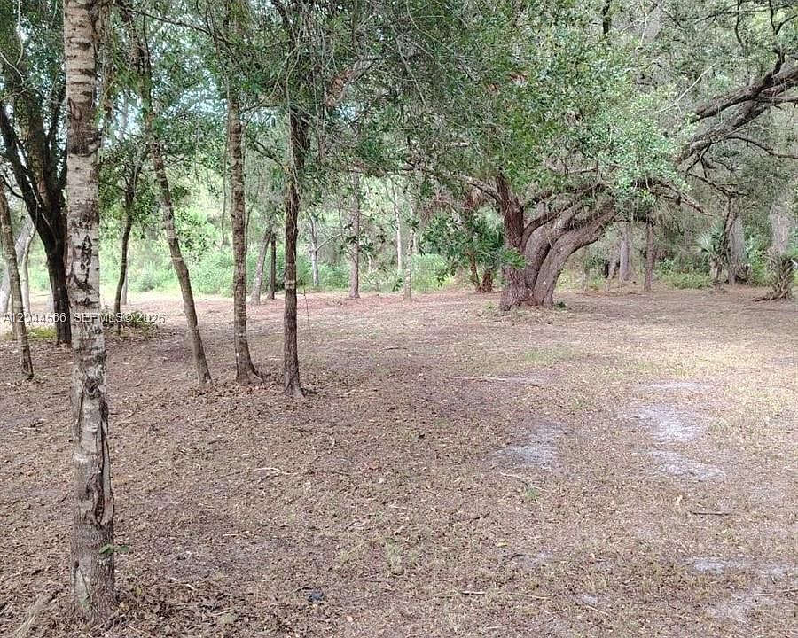 1st image of 175 Avenida Del Clb