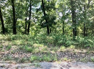 LOT 2 Hill Dr, Galena, MO 65656
