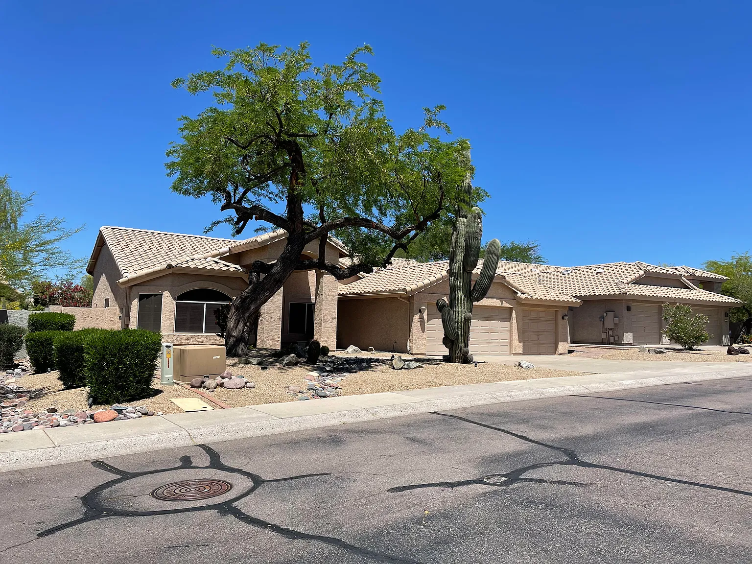 Pima And Downing Olson — Photo 2