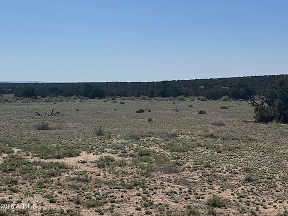 3rd image of Lot 531 Woodland Valley Ranch -- #531