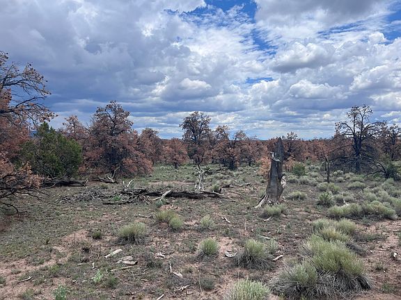 2nd image of LOT 57 Fountain Hills Rd