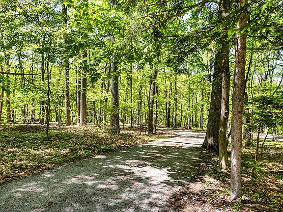 3rd image of 230 Jug Hollow Rd