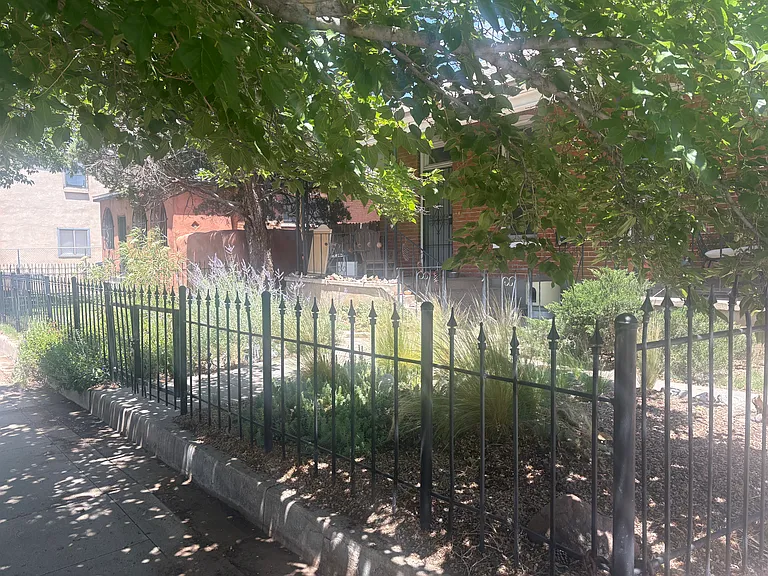 Front yard with beautiful large trees and plantings